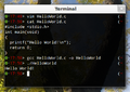 HelloWorld Terminal Linux.png