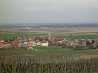 La plaine d'Alsace dans le Haut-Rhin