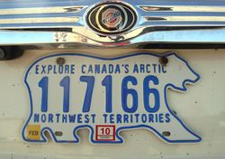 Arctic license plate bear.jpg