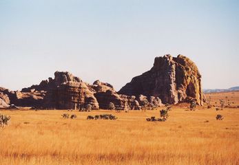 La savane sur les hauts plateaux. Photographie prise pendant la saison sèche