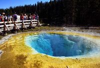 Yellowstone : Morning Glor Pool, bassin d'eau chaude.