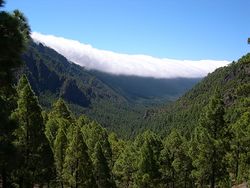 Caldera de Taburiente La Palma.jpg