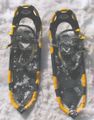 Atlas snowshoes.jpg