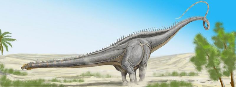 Fichier:Seismosaurus.jpg