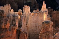 Hoodoos in the Bryce Canyon National Park.jpg