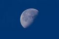 Ack Ook - Blue Moon (by-sa).jpg