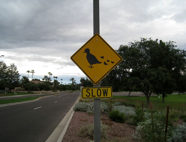 Fichier:Duck crossing sign.jpg