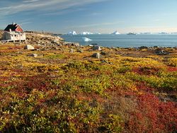 Greenland scoresby-sydkapp hg.jpg