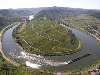 Vignoble dans un méandre de la Moselle