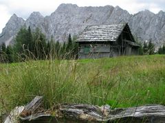 Un pâturage de haute montagne, dans les Alpes