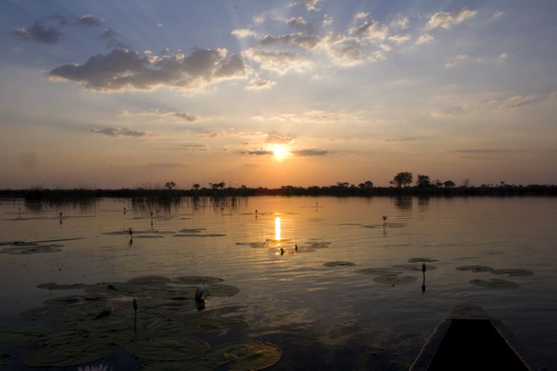 Fichier:Okavango.jpg