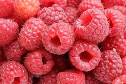 Raspberries05.jpg