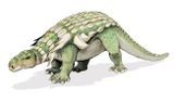 L'edmontonia, un ankylosaure. Ces herbivores probablement très lourds avaient le corps recouvert d'une armure de plaques osseuses, ou ostéodermes.