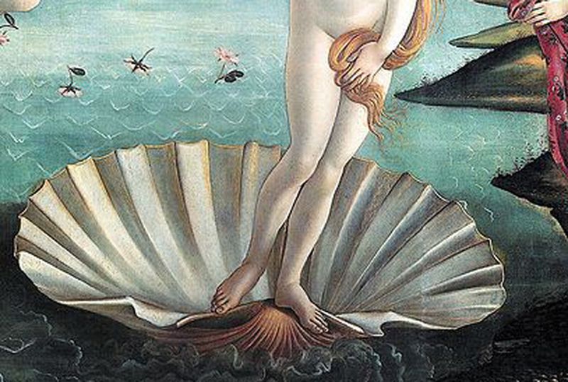Fichier:Conque-Naissance de Venus Botticelli.jpg