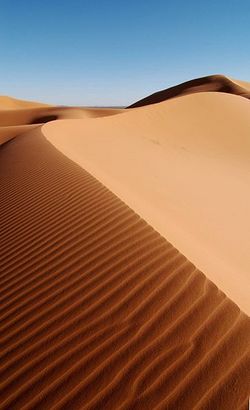 Erg Chebbi - Sahara - Maroc.jpg