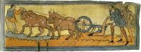 La charrue du Moyen Âge ne trace qu'un seul sillon à la fois.