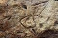Des gravures réalisées par les hommes de Néanderthal sur un rocher, à La Ferrassie.