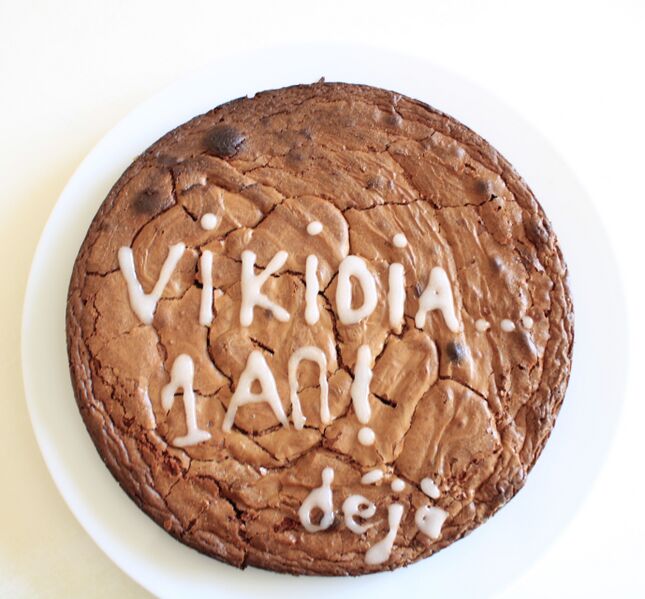 Fichier:Viki-gâteau des 1 an.jpg