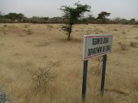 Savane en saison sèche dans le nord du Sénégal.