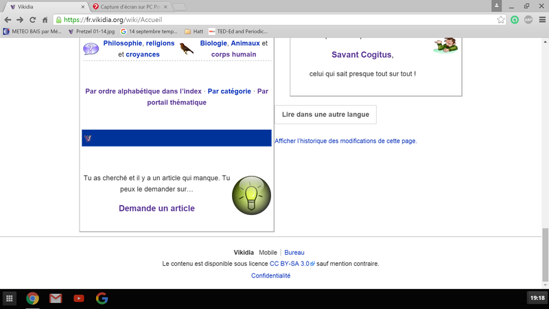 Fichier:Interface VD bas.png