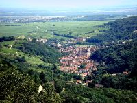 Collines sous-vosgiennes au premier plan et plaine d'Alsace au second plan à Andlau dans le Bas-Rhin