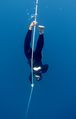 Le record de plongée en apnée, pour l'homme, est de 214 m. En apnée statique (pas de mouvement et à profondeur constante), il est de 11 min 35 s.