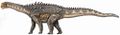 Ampelosaurus, un dinosaure de la famille des titanosaures. Titanosaures étaient aussi des dinosaures au corps cuirassé.