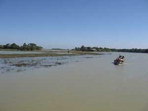 Terrains semi-submergés, une situation fréquente au Bangladesh.