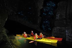 Des spéléologues explorent en kayak les cavernes de Waitomo, en Nouvelle-Zélande, et admirent les larves de titiwai qui brillent au plafond de la grotte.