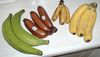 Bananes - variétés.jpg