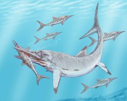 Un ichthyosaure du Jurassique : le temnodontosaure