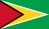 Drapeau du Guyana.svg