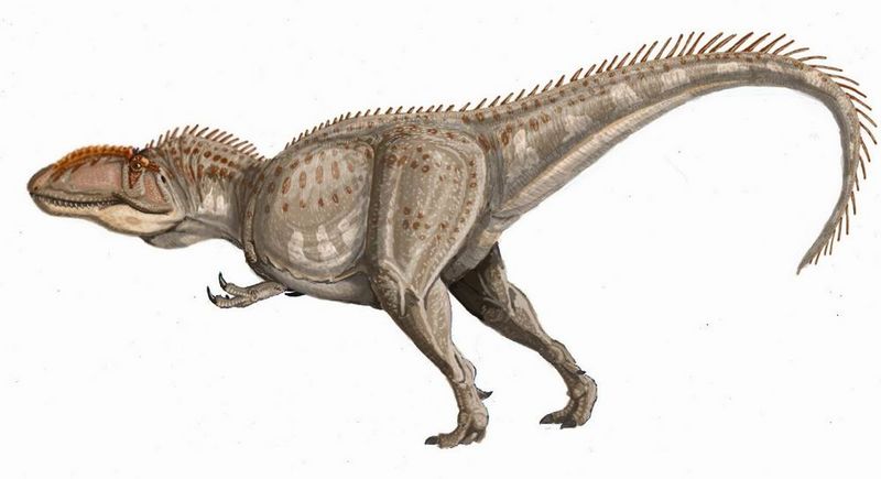 Fichier:Giganotosaurus.jpg