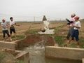 Irrigation Vietnam.jpg