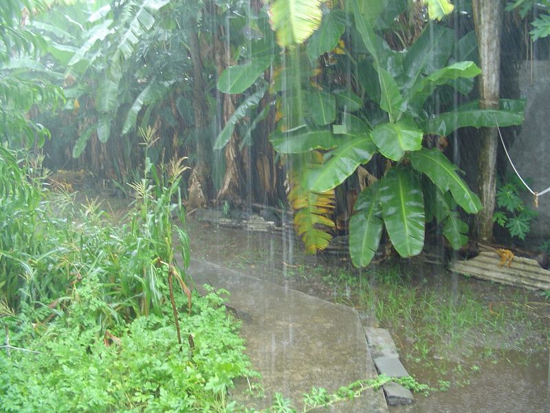 Fichier:Mayotte pluie.jpg