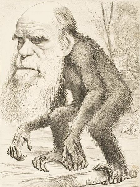Fichier:Caricature Darwin.jpg