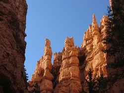 Bryce Canyon Hoodoos.jpg