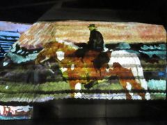 Projection sur la cabane camarguaise du Museon Arlaten