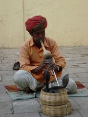 Charmeur de serpents à Jaipur (2).JPG