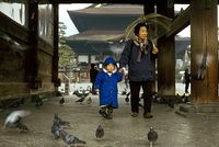 Pigeons dans un temple au Japon