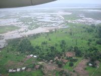 La forêt et le fleuve Casamance dans le sud du Sénégal près de Ziguinchor.