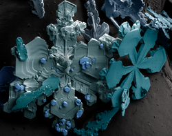Snow crystals.png