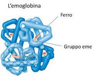 Emoglobina.jpg