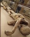 Mummia di uomo, forse appartenente a un nobile