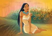 Pocahontas-disney-princess-40355132-991-696.jpg